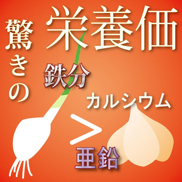 乙村式にんにくの、驚きの栄養価