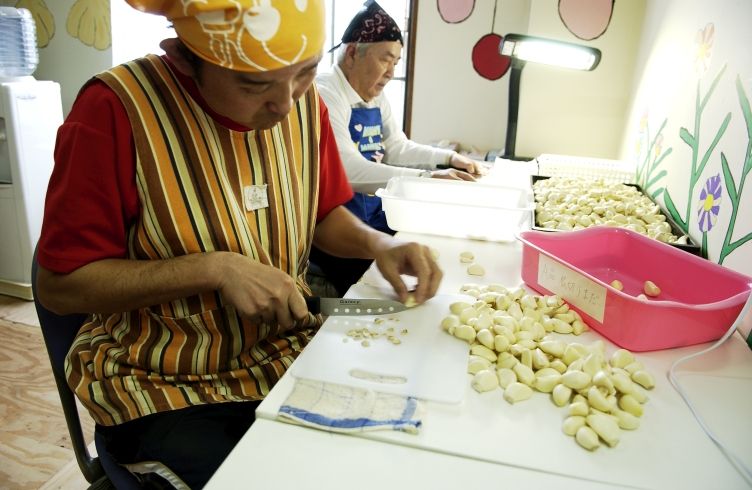 乙村式にんにくの根切り工程